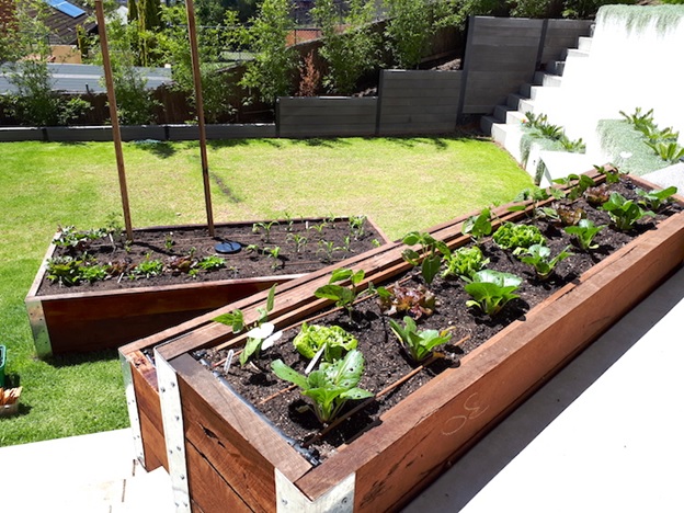 Installation of herb and veggie garden in Roslyn park Adelaide